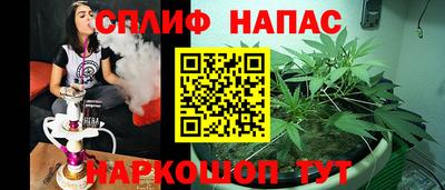 PSILOCYBIN Ярославль
